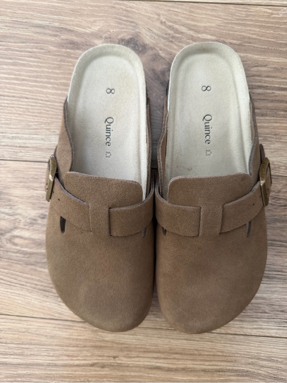 Quince Brown Suede Slip-On Clogs with Buckle- Cafe